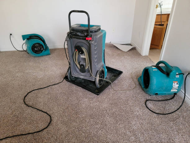 Best Carpet water damage restoration  in Glen Rose, TX