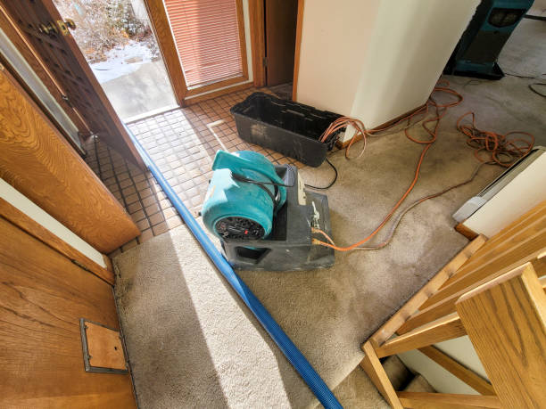 Best Water damage restoration mold remediation  in Glen Rose, TX