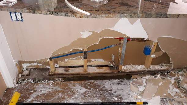 Best Professional water damage repair  in Glen Rose, TX