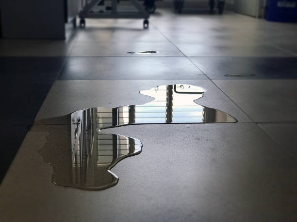 Best Water damage restoration near me  in Glen Rose, TX