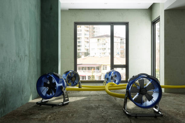 Best Residential water damage restoration  in Glen Rose, TX